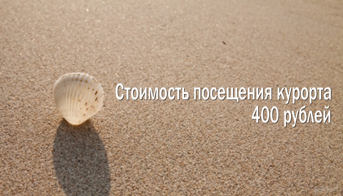     -   2025 